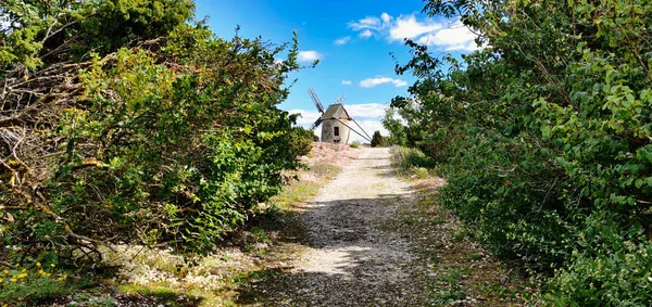 Way Leading To Old Traditional Windmill Through Green Bushes — Stock Photo, Image