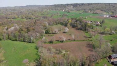 Blossom 'daki Vahşi Kiraz Ağaçları, Vallevagen, Vastergotland, İsveç, Havacılık