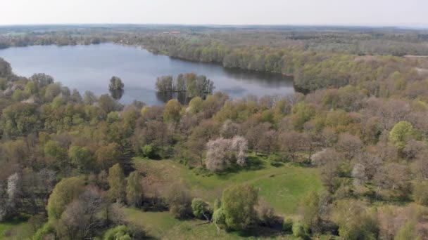 Cherry Trees In Blossom Next To Lake, Vallevagen, Sweden, Aerial — Stock video