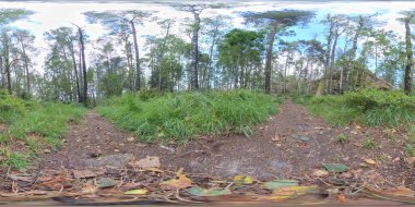 360 VR - Boreal Ormanı 'nda Yürüyüş Yolu, Düşük Açı