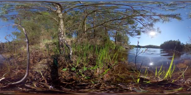 Kalmerend kabbelend water naast bomen - 360 VR — Stockvideo