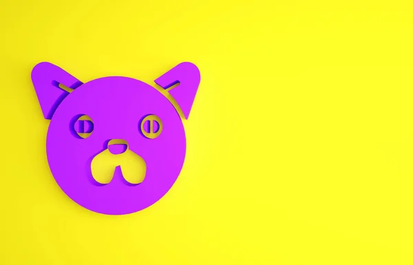 Ikona Purple Cat Izolované Žlutém Pozadí Zvířecí Symbol Minimalismus Ilustrace — Stock fotografie