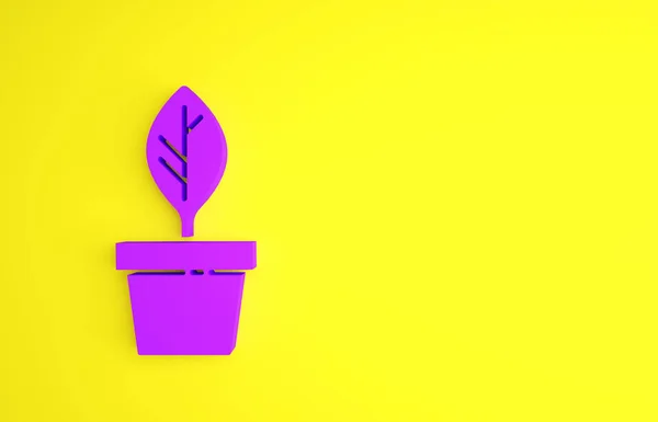 Lila Növény Pot Ikon Izolált Sárga Alapon Növény Egy Edényben — Stock Fotó