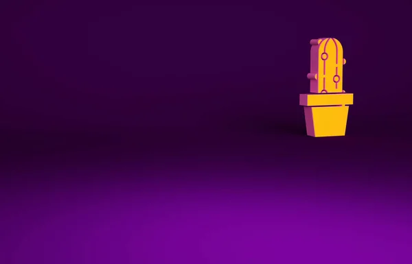 Апельсиновый Пейот Горшочке Значок Изолирован Фиолетовом Фоне Растение Растет Кастрюле — стоковое фото