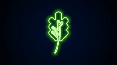 Parlayan neon çizgisi Yaprak simgesi siyah arkaplanda izole edildi. İşaret bırakıyor. Taze doğal ürün sembolü. 4K Video hareketli grafik canlandırması