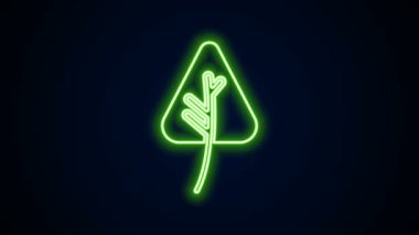 Parlayan neon çizgisi Yaprak simgesi siyah arkaplanda izole edildi. İşaret bırakıyor. Taze doğal ürün sembolü. 4K Video hareketli grafik canlandırması