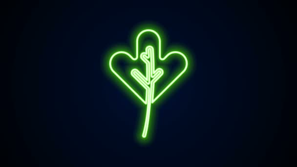Glödande neon linje Leaf ikon isolerad på svart bakgrund. Lämnar tecken. Färsk naturprodukt symbol. 4K Video motion grafisk animation — Stockvideo