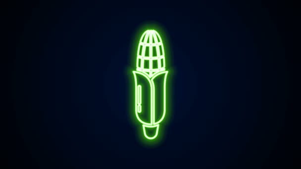 Zářící neonová čára Ikona kukuřice izolovaná na černém pozadí. Grafická animace pohybu videa 4K — Stock video