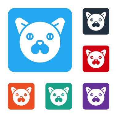 Beyaz Kedi simgesi beyaz arkaplanda izole edildi. Hayvan sembolü. Renkli kare düğmelerle simgeleri ayarla. Vektör.
