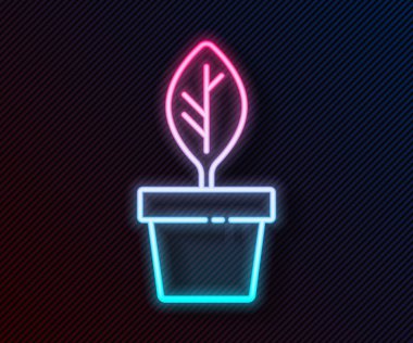 Parlayan neon hattı. Esrar ikonundaki bitki siyah arkaplanda izole edilmiş. Tencerede yetişen bir bitki. Saksı bitkisi işareti. Vektör.