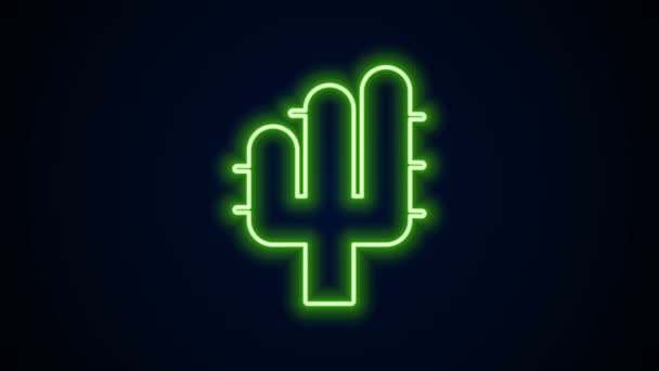 Világító neon vonal Kaktusz ikon elszigetelt fekete háttérrel. 4K Videó mozgás grafikus animáció — Stock videók