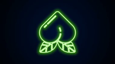 Siyah zemin üzerinde yaprak simgesi olan parlak neon çizgisi şeftali veya nektarin. 4K Video hareketli grafik canlandırması