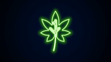Parlayan neon çizgisi Yaprak simgesi siyah arkaplanda izole edildi. İşaret bırakıyor. Taze doğal ürün sembolü. 4K Video hareketli grafik canlandırması