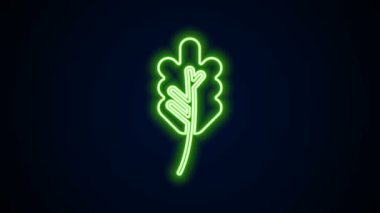 Parlayan neon çizgisi Yaprak simgesi siyah arkaplanda izole edildi. İşaret bırakıyor. Taze doğal ürün sembolü. 4K Video hareketli grafik canlandırması