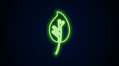 Parlayan neon çizgisi Yaprak simgesi siyah arkaplanda izole edildi. İşaret bırakıyor. Taze doğal ürün sembolü. 4K Video hareketli grafik canlandırması