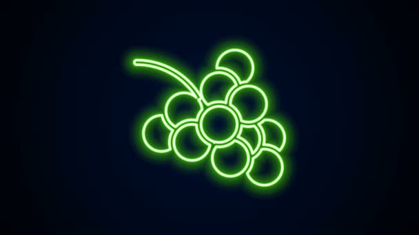 Lumineux néon ligne Casino machine à sous avec icône de symbole de raisin isolé sur fond noir. Jeux de hasard. Animation graphique de mouvement vidéo 4K — Video