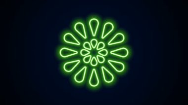 Parlayan neon hattı Firework simgesi siyah arkaplanda izole edildi. Eğlence partisi anlayışı. Patlayıcı havai fişek sembolü. 4K Video hareketli grafik canlandırması