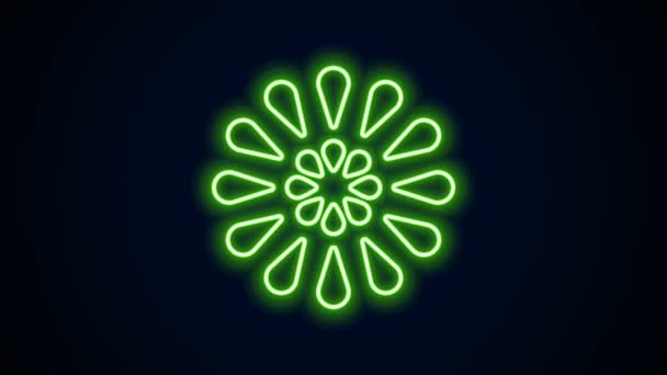 Gloeiende neon lijn Vuurwerk pictogram geïsoleerd op zwarte achtergrond. Het idee van een leuk feestje. Explosief pyrotechnisch symbool. 4K Video motion grafische animatie — Stockvideo