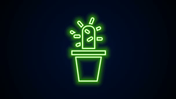 Ragyogó neon vonal Kaktusz és zamatos pot ikon elszigetelt fekete alapon. Növény nő egy edényben. Cserepes növényjel. 4K Videó mozgás grafikus animáció