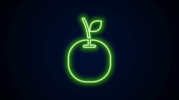 Świecąca neonowa ikona Apple na czarnym tle. Owoce z symbolem liści. 4K Animacja graficzna ruchu wideo — Wideo stockowe