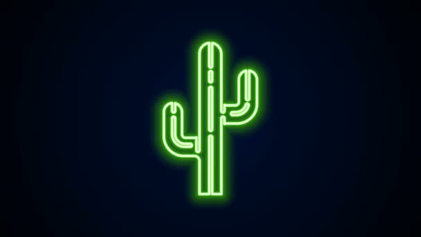 Zářící neonová čára ikona kaktusu izolovaná na černém pozadí. Grafická animace pohybu videa 4K — Stock video