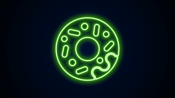 Glowing neon line Donut with sweet glaze icon isolated on black background. Animasi grafis gerak Video 4K — Stok Video