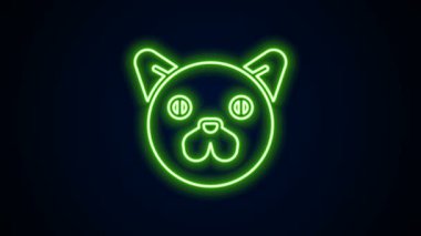 Parlayan neon hattı kedi simgesi siyah arkaplanda izole edildi. Hayvan sembolü. 4K Video hareketli grafik canlandırması