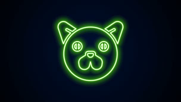 Parlayan neon hattı kedi simgesi siyah arkaplanda izole edildi. Hayvan sembolü. 4K Video hareketli grafik canlandırması — Stok video