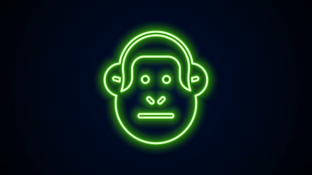 Ragyogó neon vonal Monkey ikon elszigetelt fekete háttér. Állati szimbólum. 4K Videó mozgás grafikus animáció — Stock videók