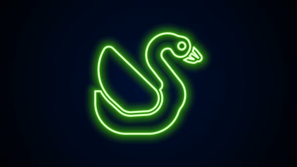 Gloeiende neon lijn Zwaan vogel pictogram geïsoleerd op zwarte achtergrond. Dierensymbool. 4K Video motion grafische animatie — Stockvideo