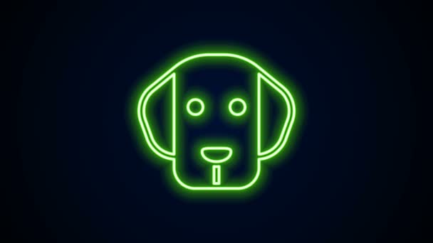 Icono de perro de línea de neón brillante aislado sobre fondo negro. Animación gráfica de vídeo 4K — Vídeos de Stock
