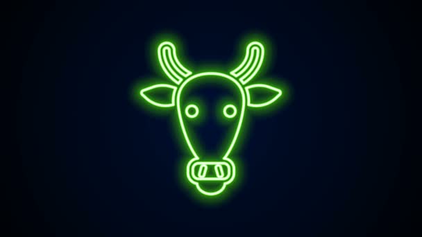 Icono de cabeza de vaca de línea de neón brillante aislado sobre fondo negro. Animación gráfica de vídeo 4K — Vídeos de Stock