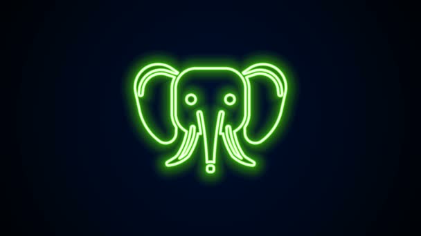 Светящаяся неоновая линия Значок слона выделен на черном фоне. Видеографическая анимация 4K — стоковое видео