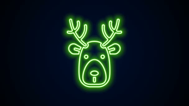 Glowing neon line kepala Rusa dengan ikon tanduk terisolasi pada latar belakang hitam. Animasi grafis gerak Video 4K — Stok Video