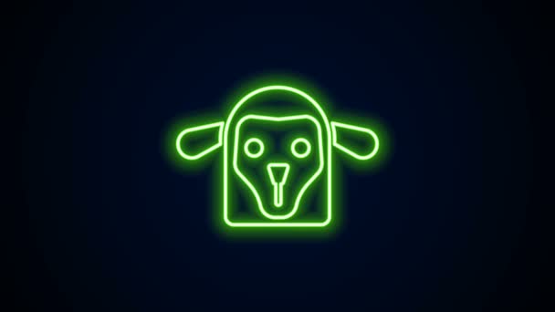Icono de cabeza de oveja de línea de neón brillante aislado sobre fondo negro. Símbolo animal. Animación gráfica de vídeo 4K — Vídeos de Stock