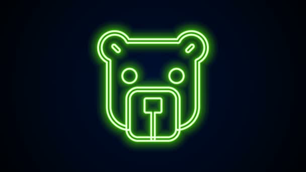 发光的霓虹灯线条熊头部图标孤立在黑色背景.4K视频运动图形动画 — 图库视频影像