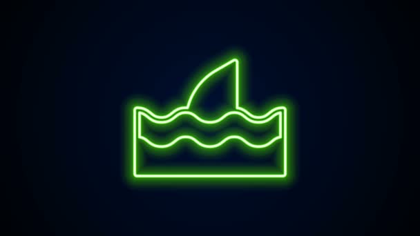 Línea de neón brillante Aleta de tiburón en el icono de la onda oceánica aislado sobre fondo negro. Animación gráfica de vídeo 4K — Vídeo de stock