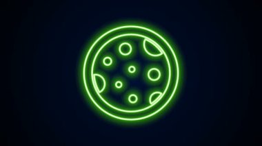Siyah zemin üzerinde izole edilmiş bakteri simgesi olan parlak neon hattı Petri kabı. 4K Video hareketli grafik canlandırması