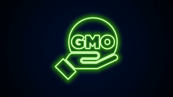 Glödande neon line GMO-ikon isolerad på svart bakgrund. Genetiskt modifierad organismförkortning. Livsmedelsmodifiering. 4K Video motion grafisk animation — Stockvideo