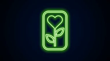 Parlayan neon hattı çiçek gül simgesi siyah arkaplanda izole edildi. 4K Video hareketli grafik canlandırması