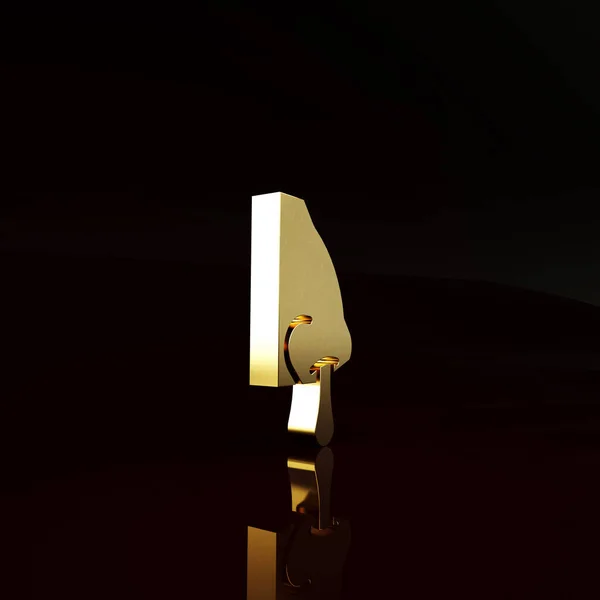 Kahverengi Arka Planda Izole Edilmiş Altın Renkli Burun Simgesi Rhinitis — Stok fotoğraf