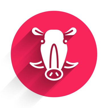 Beyaz yaban domuzu kafası ikonu uzun gölgeli izole edilmiş. Hayvan sembolü. Kırmızı daire düğmesi. Vektör.