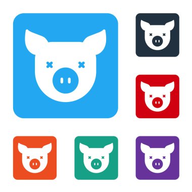 Beyaz Domuz simgesi beyaz arkaplanda izole edildi. Hayvan sembolü. Renkli kare düğmelerle simgeleri ayarla. Vektör.