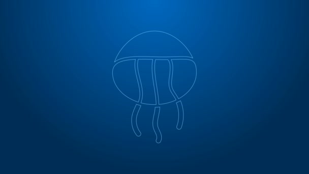 Λευκή γραμμή Jellyfish εικόνα απομονώνονται σε μπλε φόντο. 4K Γραφική κίνηση κίνησης βίντεο — Αρχείο Βίντεο