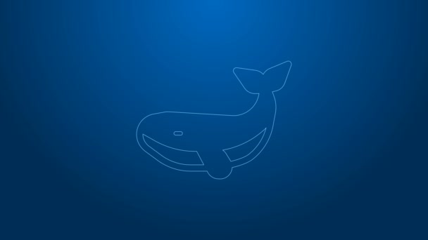 Fehér vonal bálna ikon elszigetelt kék háttérrel. 4K Videó mozgás grafikus animáció — Stock videók