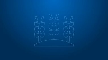 Beyaz çizgi mısır gevrekleri, pirinç, mısır, yulaf, çavdar, mavi arka planda izole edilmiş arpa ikonu. Buğday ekmeği sembolleri. 4K Video hareketli grafik canlandırması