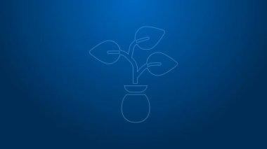 Mavi arkaplanda beyaz çizgi bitki simgesi izole edildi. Tohum ve tohum. İşaret bırakıyor. Yaprak doğası. 4K Video hareketli grafik canlandırması