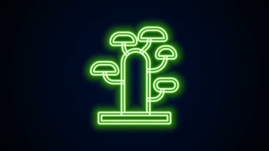 Siyah zemin üzerinde parlayan neon çizgisi Afrika ağaç simgesi izole edildi. Baobab, akasya ve diğerleri. 4K Video hareketli grafik canlandırması