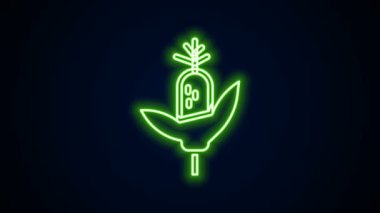 Parlayan neon hattı mısır ikonu siyah arkaplanda izole edildi. 4K Video hareketli grafik canlandırması