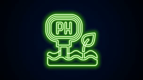 Parlayan neon hattı pH test simgesi siyah arkaplanda izole edildi. PH yeryüzü testi. 4K Video hareketli grafik canlandırması — Stok video